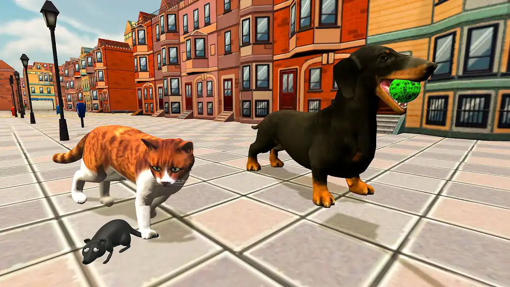 Play Cute Cat Simulator Kitten game  and enjoy Cute Cat Simulator Kitten game with UptoPlay