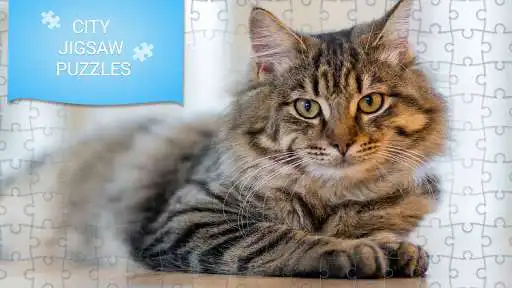 Play Cute Cats Jigsaw Puzzles Games and enjoy Cute Cats Jigsaw Puzzles Games with UptoPlay Play Cute Cats Jigsaw Puzzles Games and enjoy Cute Cats Jigsaw Puzzles Games with UptoPlay