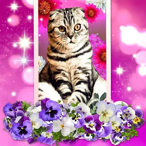Play Cute Cats Live wallpaper APK Play Cute Cats Live wallpaper APK