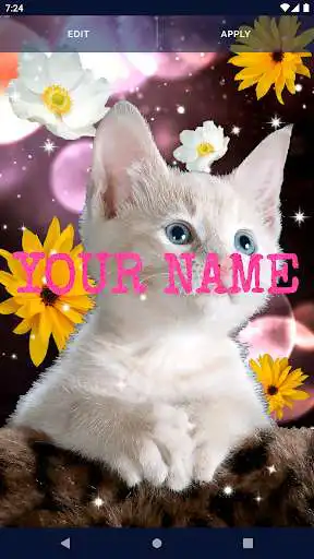 Play Cute Cats Live wallpaper as an online game Cute Cats Live wallpaper with UptoPlay