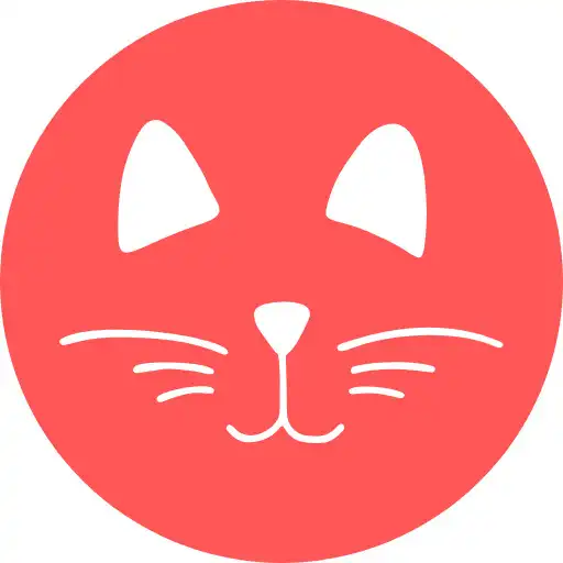 Play Cute Cats - Pictures, Videos  APK