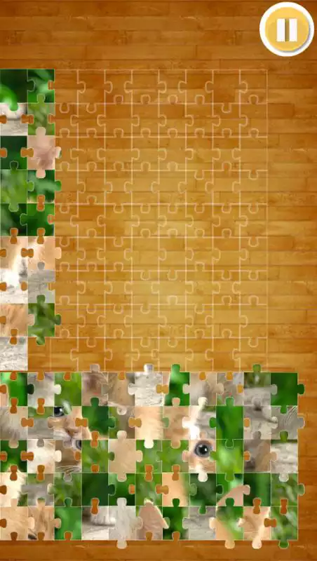 Play Cute Cats Puzzle