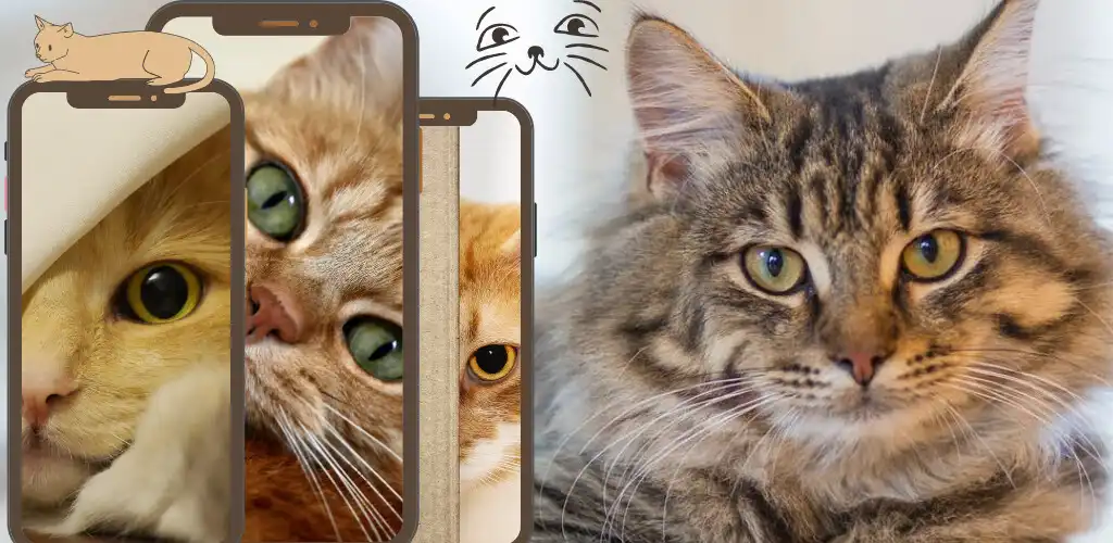 Play Cute Cats Wallpaper  and enjoy Cute Cats Wallpaper with UptoPlay