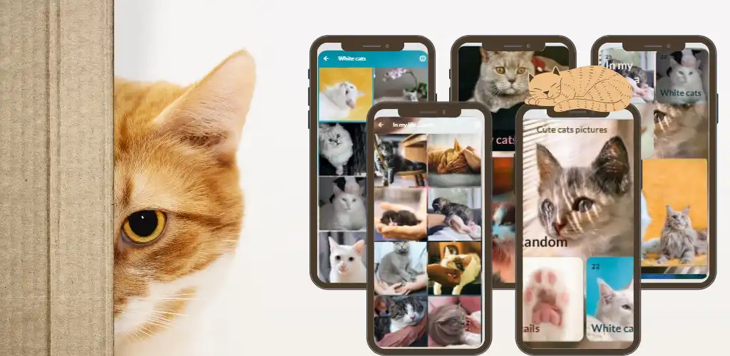 Play Cute Cats Wallpaper as an online game Cute Cats Wallpaper with UptoPlay