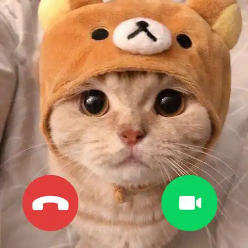 Play Cute Cat Video Call prank APK Play Cute Cat Video Call prank APK