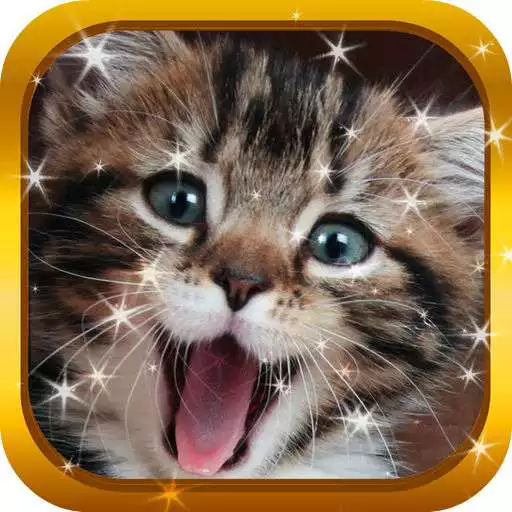 Play Cute Cat Video Wallpapers APK Play Cute Cat Video Wallpapers APK