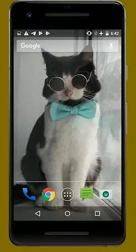 Play Cute Cat Video Wallpapers as an online game Cute Cat Video Wallpapers with UptoPlay