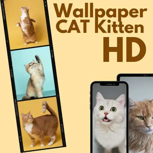 Play Cute Cat Wallpaper HD Kittens APK Play Cute Cat Wallpaper HD Kittens APK