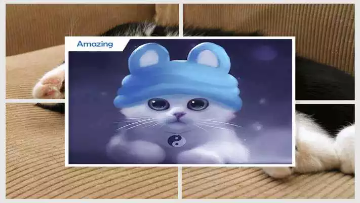 Play Cute Cat Wallpaper HD