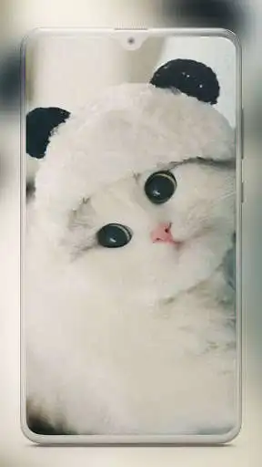 Play Cute Cat Wallpaper - Kitten Wallpapers as an online game Cute Cat Wallpaper - Kitten Wallpapers with UptoPlay