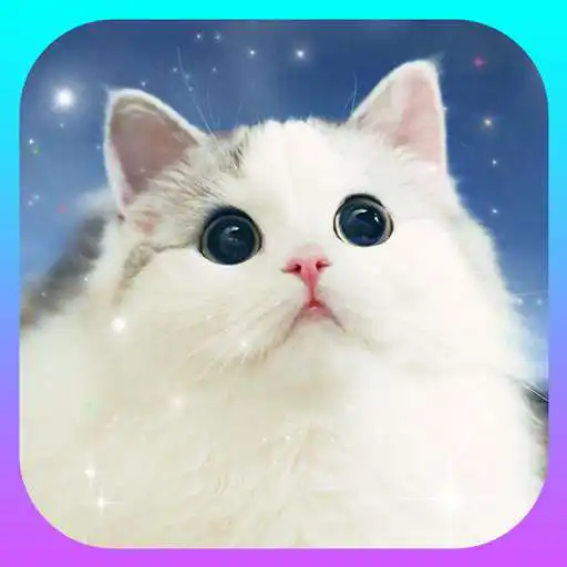 Play Cute Cat Wallpapers HD Free Kitten Backgrounds 4K APK