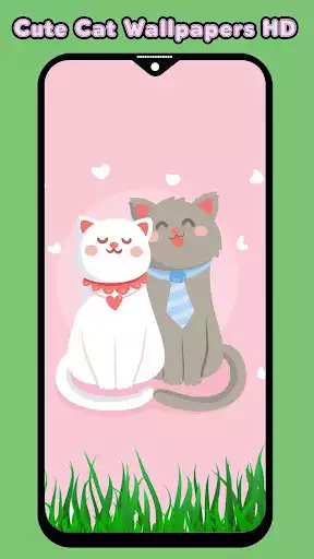 Play Cute Cat Wallpapers HD
