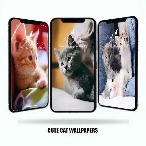 Free play online Cute Cat Wallpapers  APK