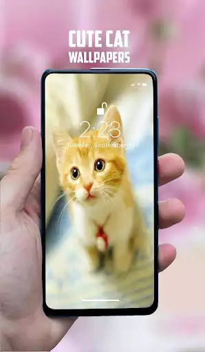 Play Cute Cat Wallpapers as an online game Cute Cat Wallpapers with UptoPlay