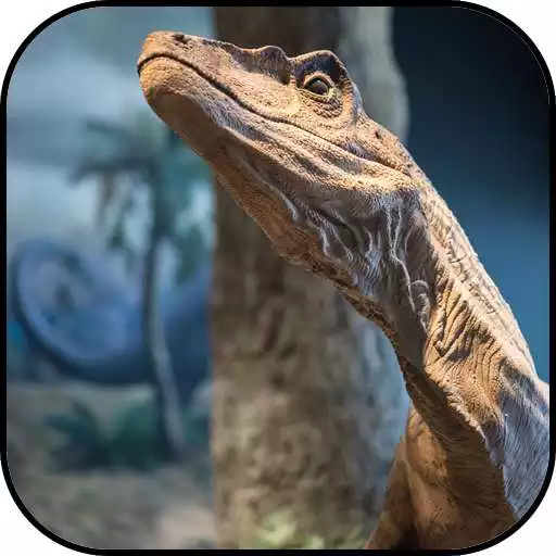 Play Cute Dinosaur Wallpapers APK Play Cute Dinosaur Wallpapers APK