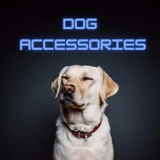 Play Cute Dog Accessories APK Play Cute Dog Accessories APK