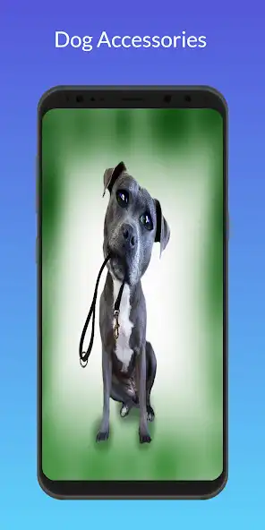 Play Cute Dog Accessories as an online game Cute Dog Accessories with UptoPlay