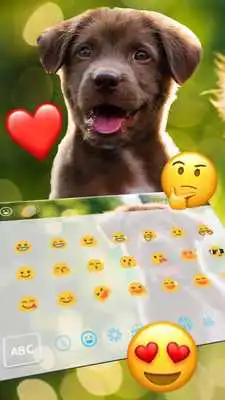 Play Cute Dog Keyboard