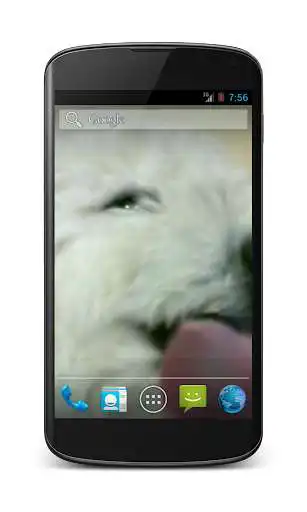 Play Cute Dog Licks Screen HD LWP  and enjoy Cute Dog Licks Screen HD LWP with UptoPlay