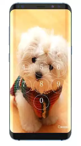 Play Cute Dog Lock Screen