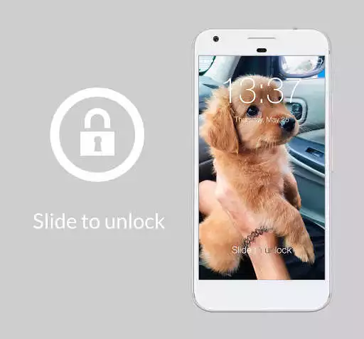 Play Cute Dogs Labrador HD AppLock Security
