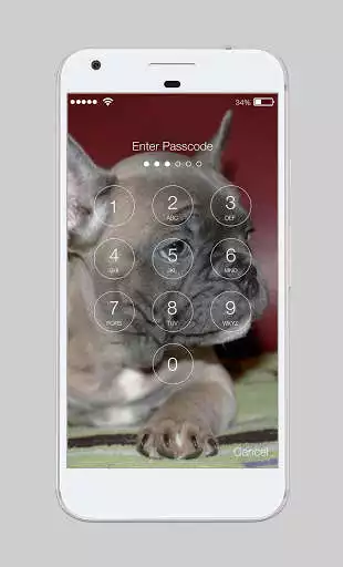 Play Cute Dogs Labrador HD AppLock Security