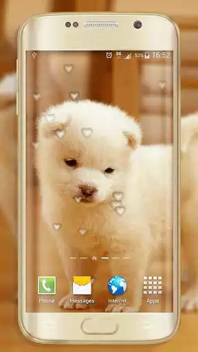 Play APK Cute Dogs Live Wallpaper  and enjoy Cute Dogs Live Wallpaper with UptoPlay com.Dogwallpaper