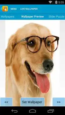 Play Cute Dogs Live Wallpapers