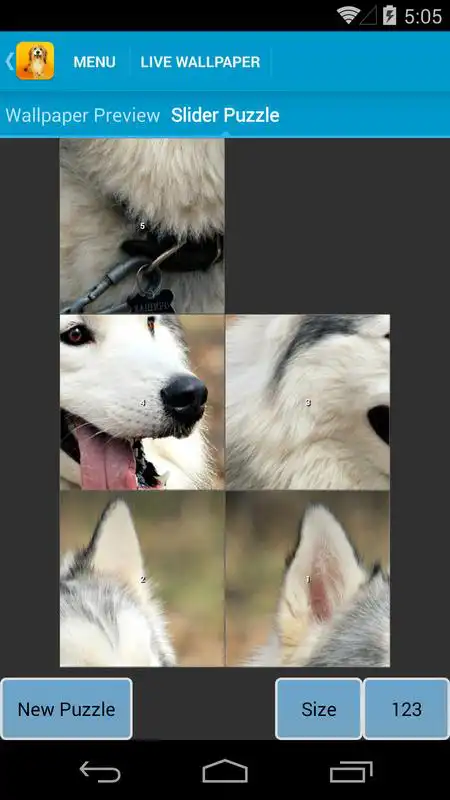 Play Cute Dogs Live Wallpapers