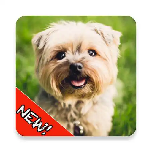 Play Cute Dogs Memory Matching Game APK Play Cute Dogs Memory Matching Game APK