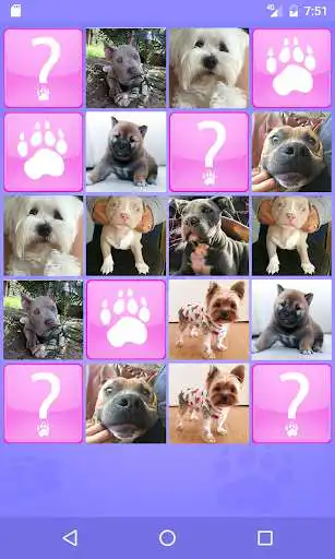 Play Cute Dogs Memory Matching Game  and enjoy Cute Dogs Memory Matching Game with UptoPlay