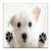 Free play online Cute Dogs, Puppies Jigsaw Game APK