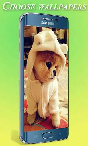 Play Cute Dog Wallpaper HD  and enjoy Cute Dog Wallpaper HD with UptoPlay