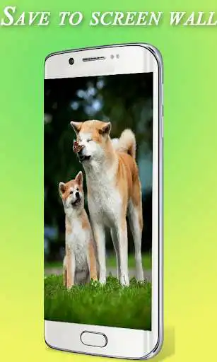 Play Cute Dog Wallpaper HD as an online game Cute Dog Wallpaper HD with UptoPlay