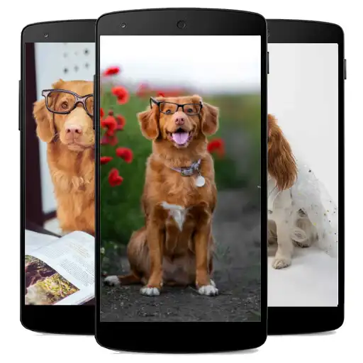 Play Cute Dog Wallpaper Offline APK Play Cute Dog Wallpaper Offline APK