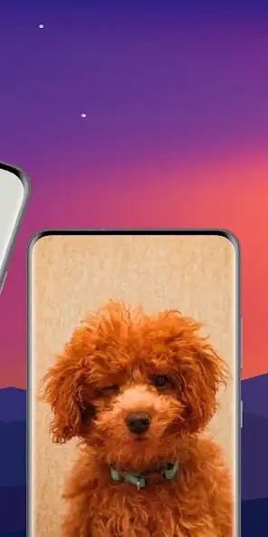 Play Cute Dog Wallpaper Offline as an online game Cute Dog Wallpaper Offline with UptoPlay