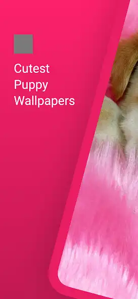 Play Cute dog wallpapers puppy  and enjoy Cute dog wallpapers puppy with UptoPlay
