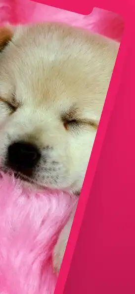 Play Cute dog wallpapers puppy as an online game Cute dog wallpapers puppy with UptoPlay