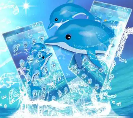 Play Cute Dolphin