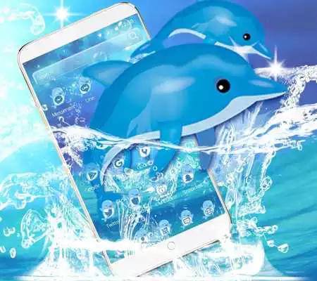 Play Cute Dolphin