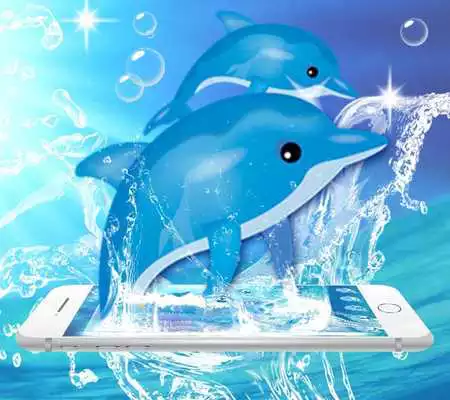 Play Cute Dolphin