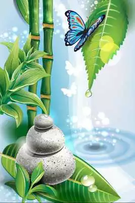 Play Cute Fairies In Secret Garden