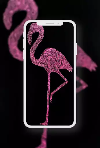 Play Cute Flamingo Wallpaper as an online game Cute Flamingo Wallpaper with UptoPlay
