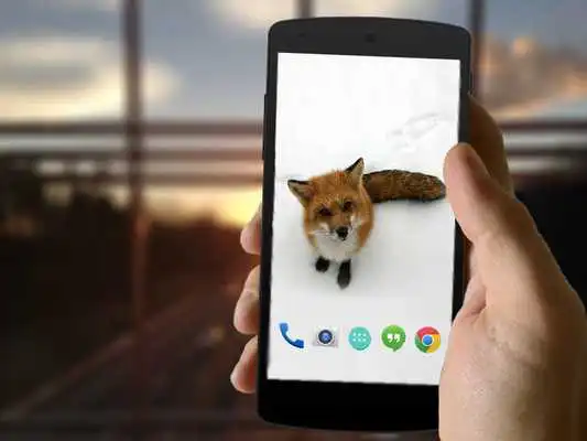 Play Cute Fox Wallpapers