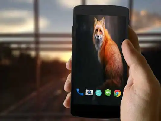 Play Cute Fox Wallpapers