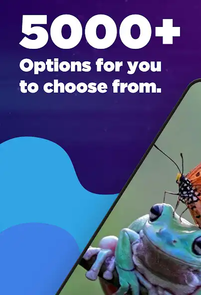 Play Cute Frog Aesthetic Wallpaper as an online game Cute Frog Aesthetic Wallpaper with UptoPlay