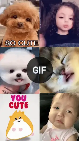 Play Cute GIFs Images  and enjoy Cute GIFs Images with UptoPlay