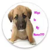 Free play online CUTE GIRL DOG NAMES APP 2019 APK Free play online CUTE GIRL DOG NAMES APP 2019 APK
