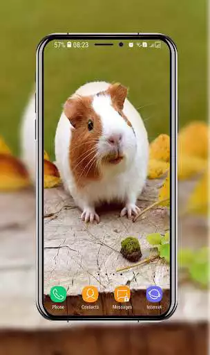 Play Cute Guinea Pig Wallpapers as an online game Cute Guinea Pig Wallpapers with UptoPlay