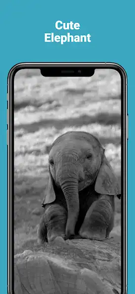 Play Cute HD Elephant Wallpapers and enjoy Cute HD Elephant Wallpapers with UptoPlay Play Cute HD Elephant Wallpapers and enjoy Cute HD Elephant Wallpapers with UptoPlay